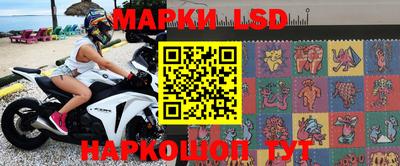 гидра Ставрополь