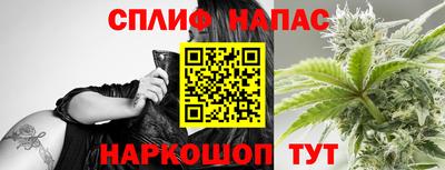 гидра Ставрополь