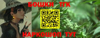 гидра Ставрополь