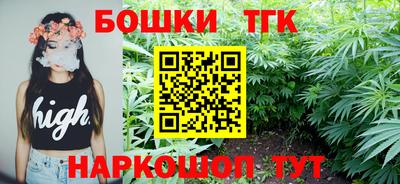 гидра Ставрополь