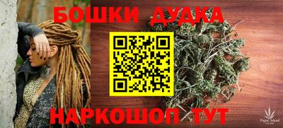 гидра Ставрополь