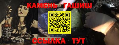 гидра Ставрополь