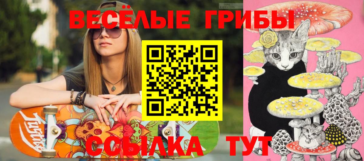 Псилоцибиновые грибы мицелий Новозыбков
