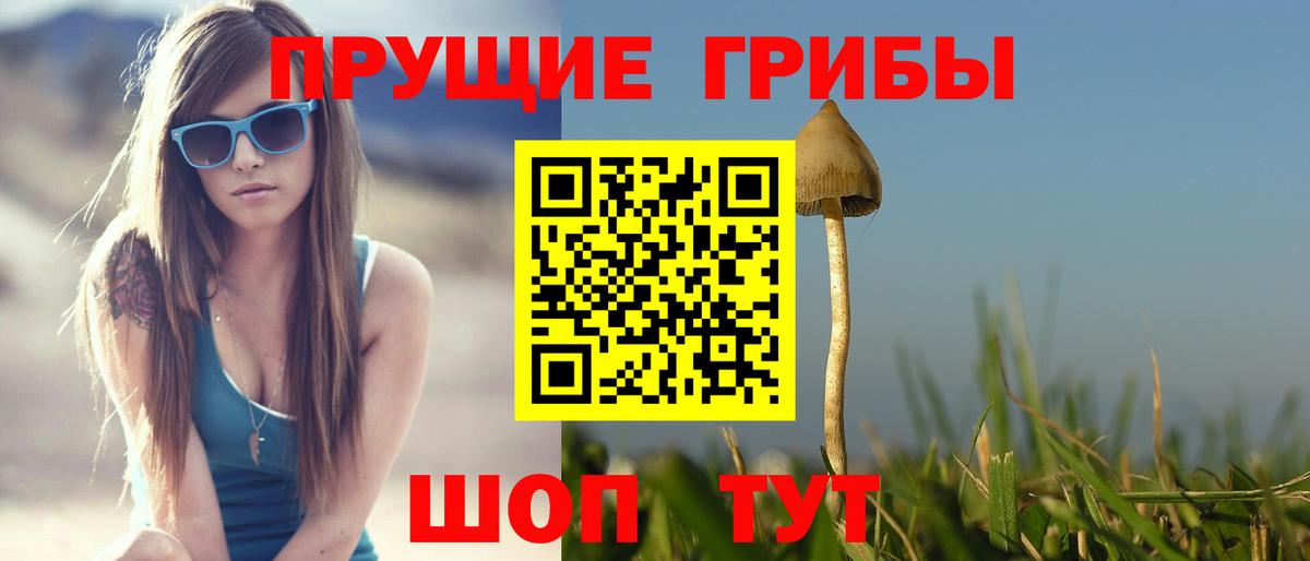 Галлюциногенные грибы MAGIC MUSHROOMS  Псилоцибиновые грибы GOLDEN TEACHER  цена   Новозыбков  Вход с VPN 